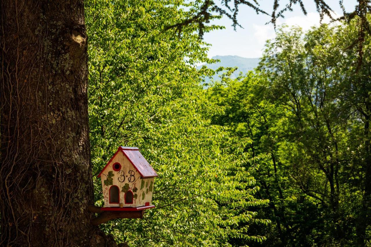 La Demeure Aux Pins Bed and Breakfast Lourdes Eksteriør billede