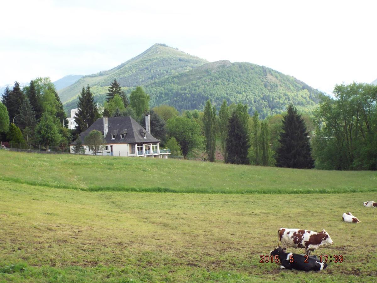La Demeure Aux Pins Bed and Breakfast Lourdes Eksteriør billede