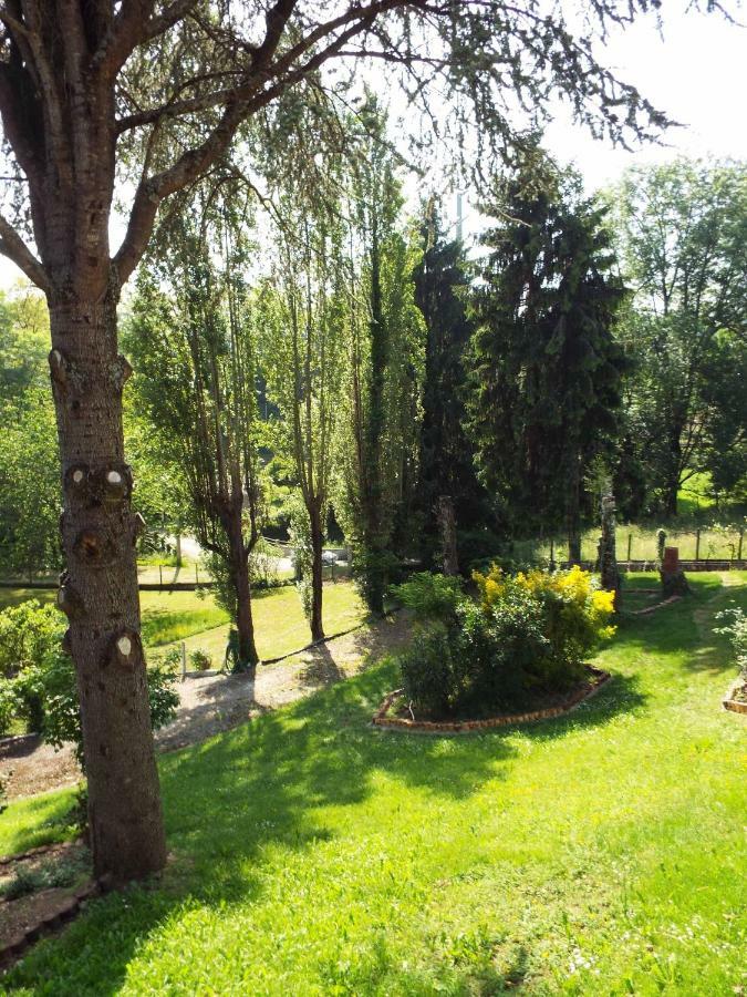 La Demeure Aux Pins Bed and Breakfast Lourdes Eksteriør billede
