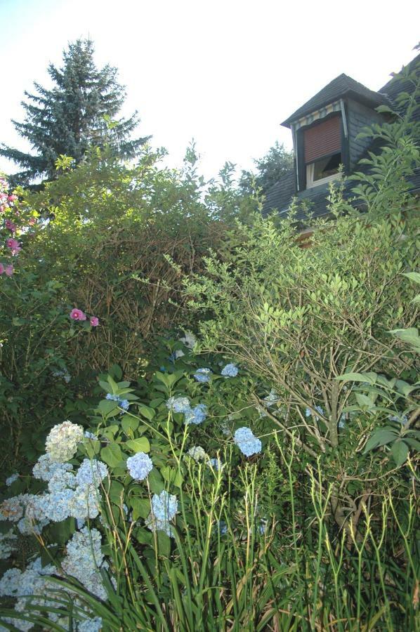 La Demeure Aux Pins Bed and Breakfast Lourdes Eksteriør billede